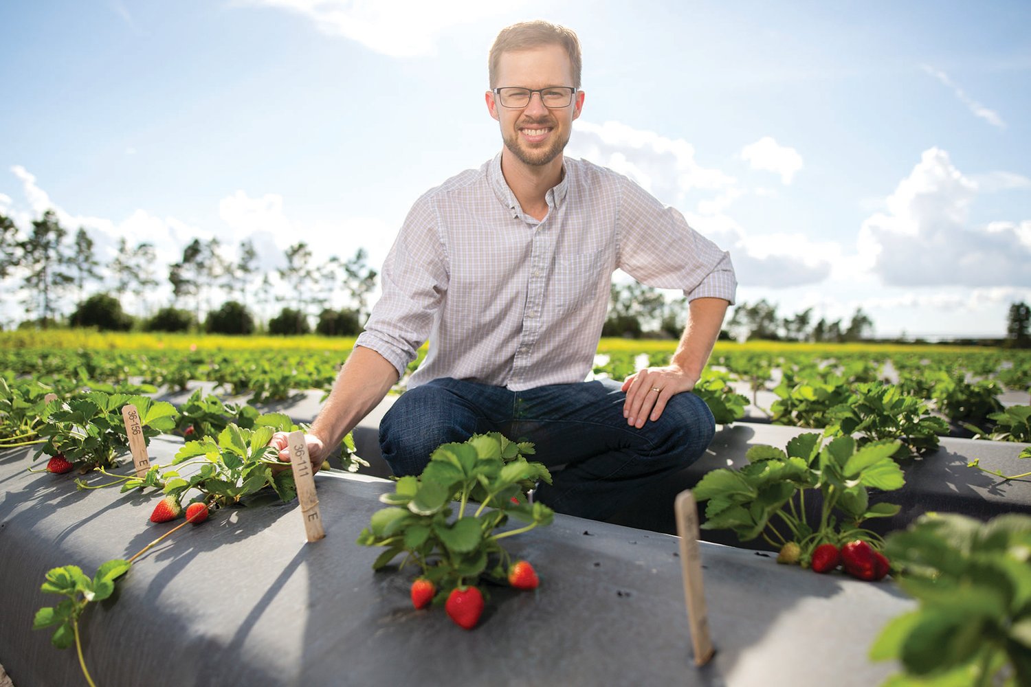 Dr. Vance Whitaker is a UF/IFAS associate professor in horticultural sciences at the Gulf Coast Research and Education Center.